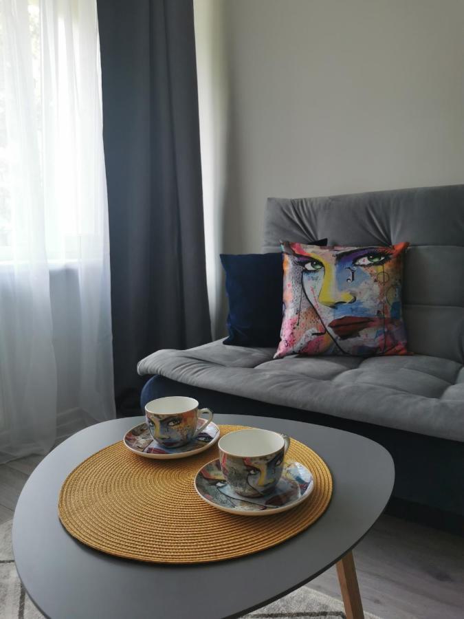 Upes Apartamentai Біржай Екстер'єр фото