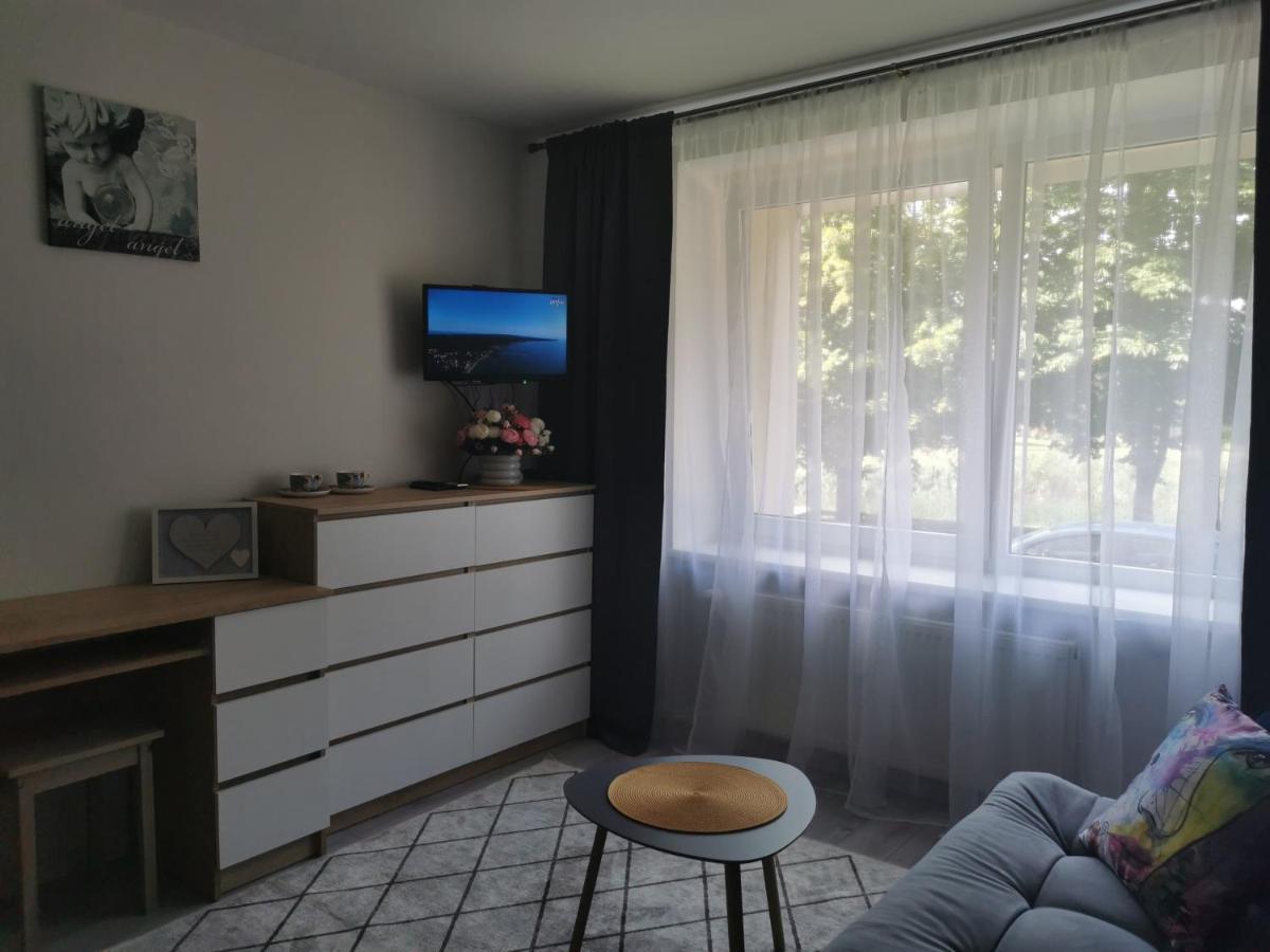 Upes Apartamentai Біржай Екстер'єр фото