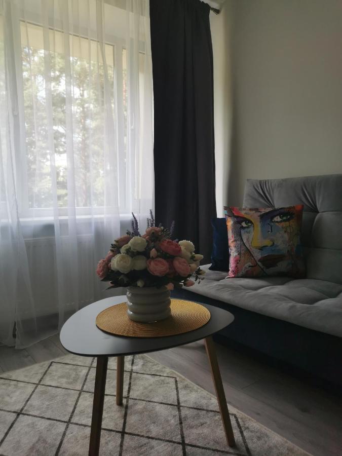 Upes Apartamentai Біржай Екстер'єр фото